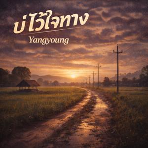 บ่ไว้ใจทาง