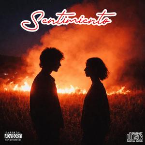 SENTIMIENTOS
