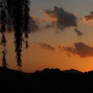 烟做的城市裹满了泥沼风也有了形状