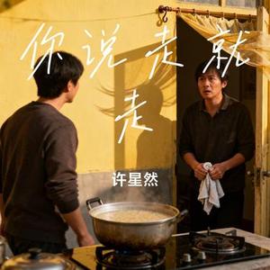 你说走就走