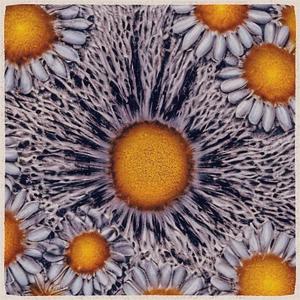 something in my head