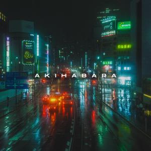 Akihabara Skyline at 2AM
