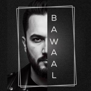 Bawaal