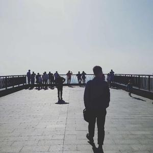 张目对日（翻自 郑洛宇）