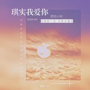 群星-琪实我爱你（Shy / 刘海运 remix）