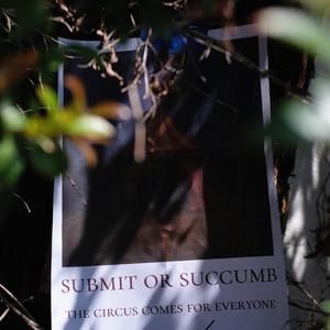 it's not about the circus