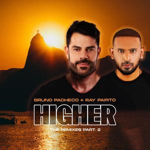 Higher (Dani Brasil Remix Radio)