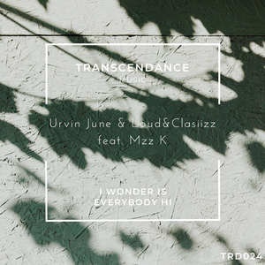 I Wonder Is Everybody Hi (Original Mix)