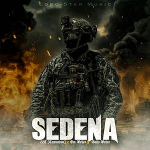 SEDENA (feat. G.M Belico & Gallo Belico Mx)