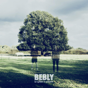 Mes défauts des fois