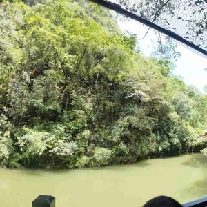 樱香轻飏的帘栊