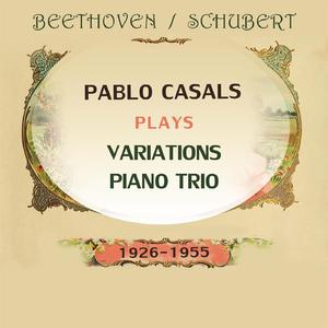 Piano Trio No. 1, D898 B Major: Allegro moderato