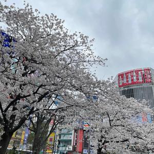 can't feel ya (feat. Wistual, i6neiru & yuraii)