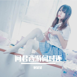 问君西游何时还 (13)