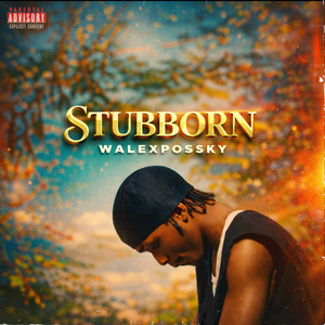 Stubborn