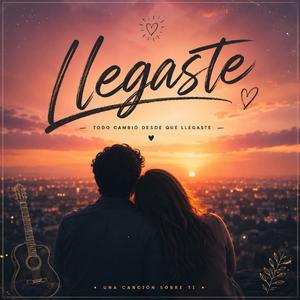 Llegaste