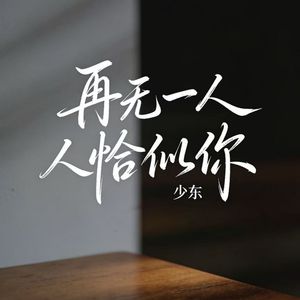 再无一人恰似你