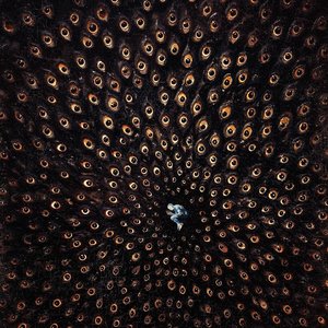 Life is a beautiful struggle