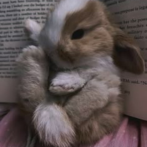 Over & Over (slowed)