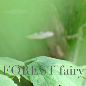 FOREST fairy