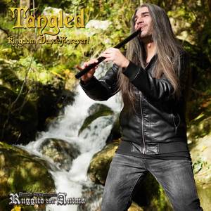 Tangled: Kingdom Dance Forever! (Low Whistle Fantasy Cover)