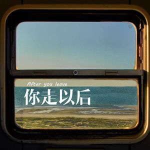 你走以后