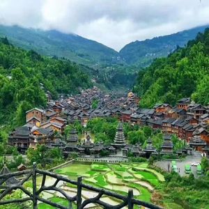 树荫之旅（钢琴）