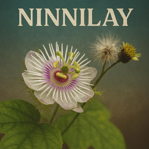 Ninnilay
