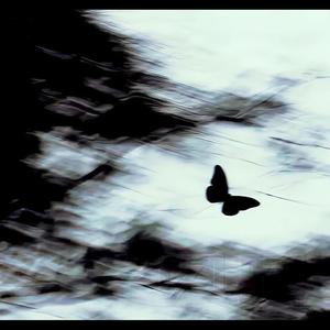 Real (feat. Khi! & Destrae)