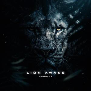 Lion Awake