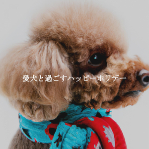 Funky Loose Relaxation