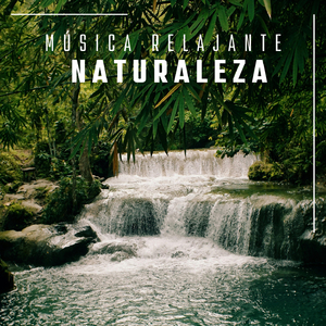 Relajación y Serenidad (TraxLab Version)