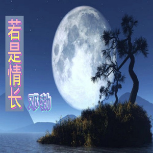 若是情长 (Dj版)