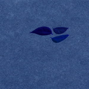 Montessori ( Festival Ed 2011)