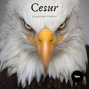 Cesur