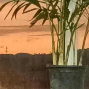 老男孩（cover筷子兄弟）