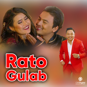 Rato Gulab