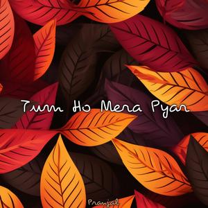 Tum Ho Mera Pyar