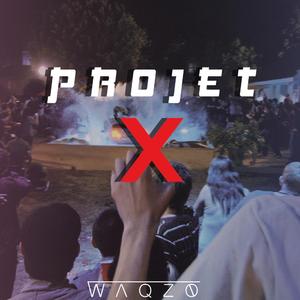 PROJET X