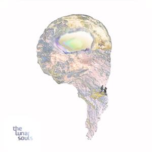 How You See The World