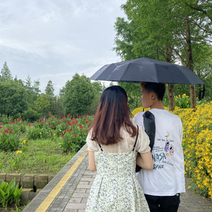 情诗（翻自 王玖）