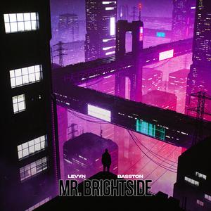 MR. BRIGHTSIDE (HOUSE)