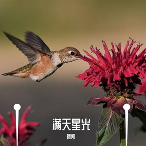 安和桥（翻自 宋冬野）