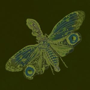 v – (feat. Sofia Zaiceva)