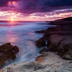 随风而至的童年