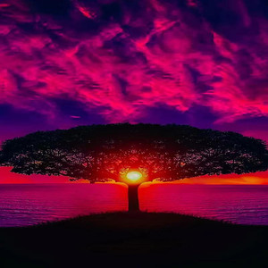 青花2024（DJ版）