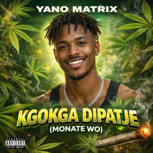 Kgokga Dipatje (Monate Wo!)