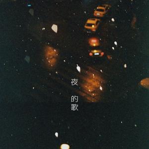 夜的歌