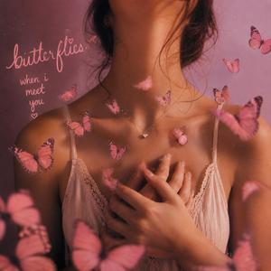 Butterflies when I met you