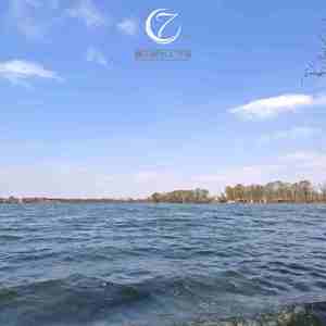 风轻拂 (圆号｜暖心曲)